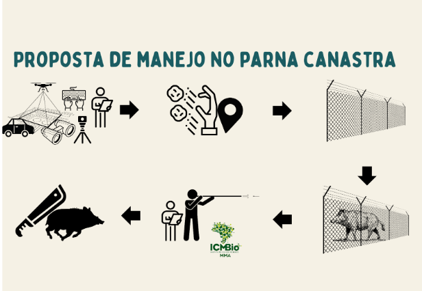 Figura 1 Manejo de javalis