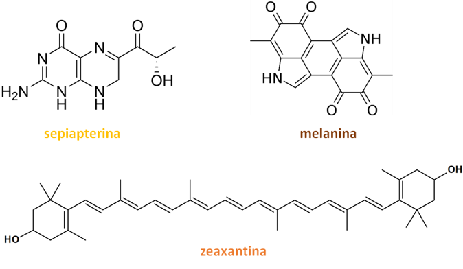 imagem_química.png
