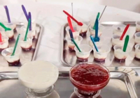 Desenvolvimento de creme de ricota com geleia de jabuticaba