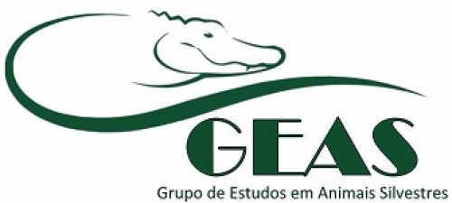 Logo do GEAS