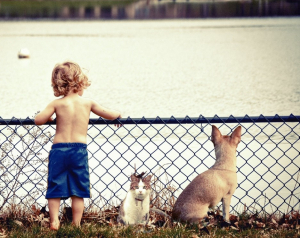 Imagem de uma criança ao lado de um gato e um cachorro