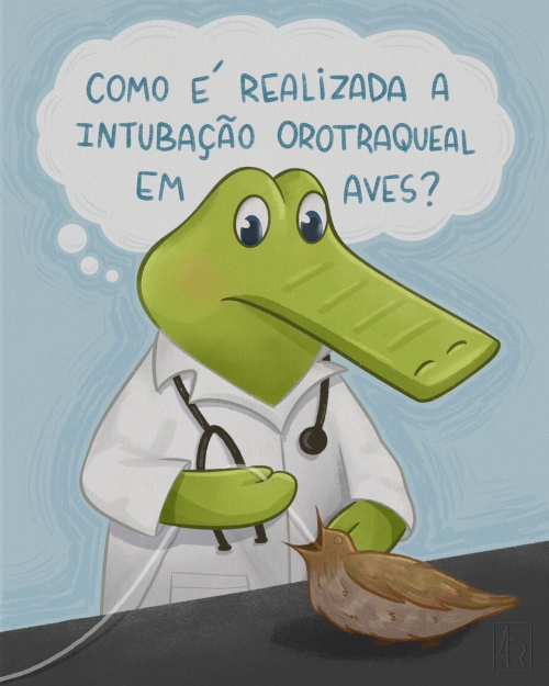 Jack realizando intubação em ave.