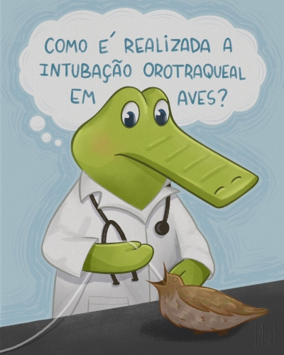 Jack realizando intubação em ave.
