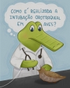 Jack realizando intubação em ave.