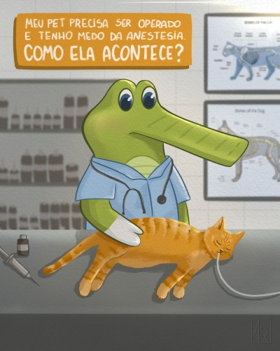 Jack na companhia de um pet entubado.