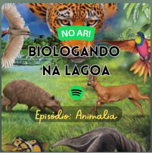 Episódio do Podcast Biologando na Lagoa